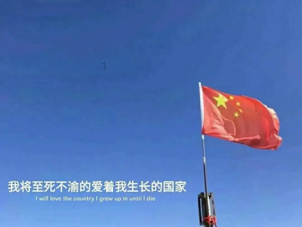 细胞分裂6